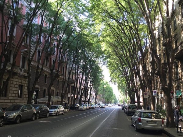appartamento in affitto a Milano