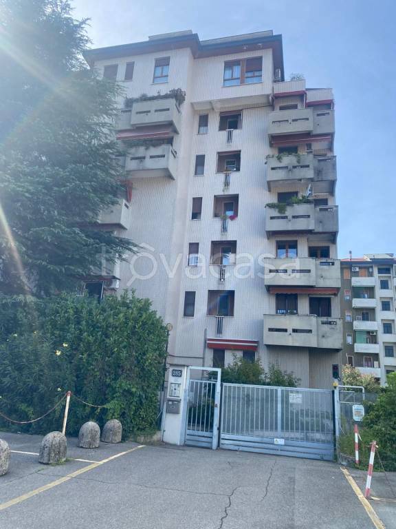 appartamento in affitto a Milano in zona Precotto