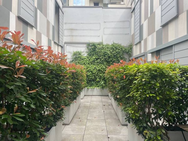 appartamento in affitto a Milano in zona Solari