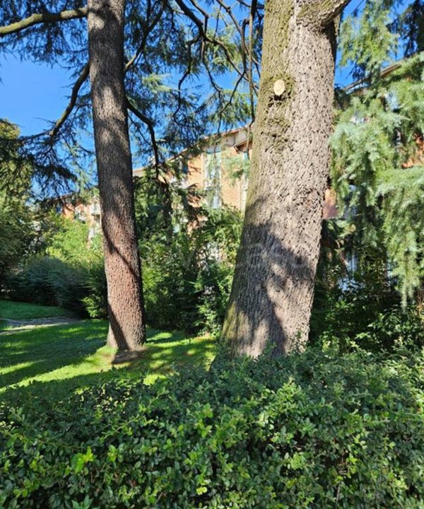 appartamento in affitto a Milano in zona Forlanini