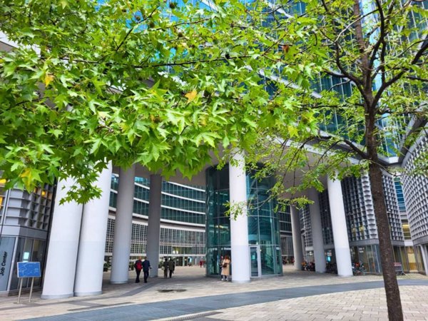 appartamento in affitto a Milano in zona Centro Direzionale