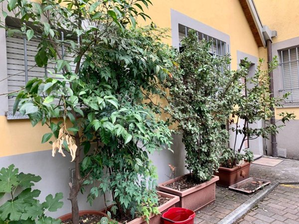 appartamento in affitto a Milano in zona Vigentino