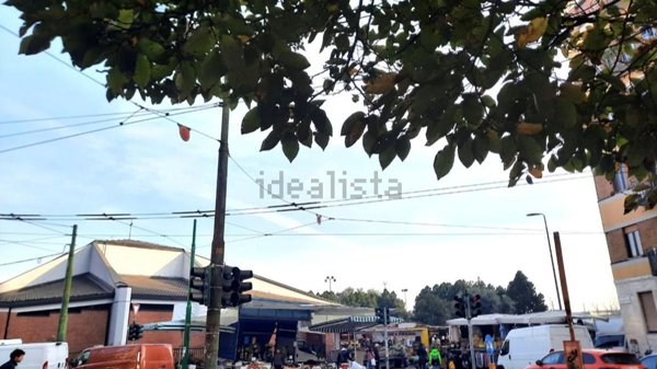 negozio in affitto a Milano in zona Città Studi