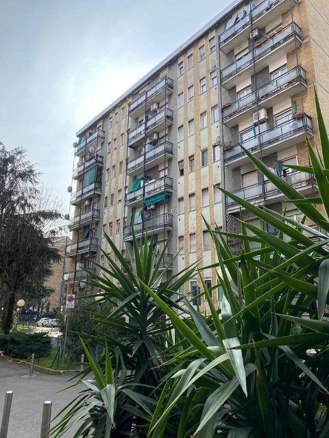 appartamento in affitto a Milano in zona Rogoredo