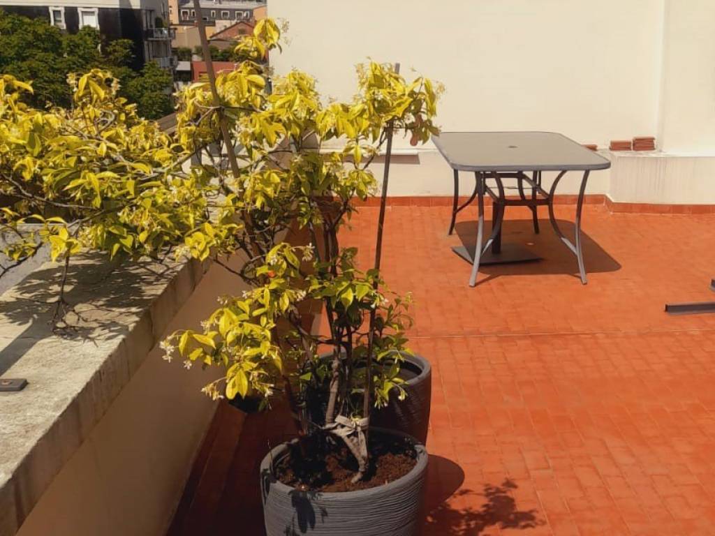 appartamento in affitto a Milano in zona Porta Romana