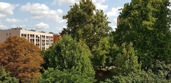 appartamento in affitto a Milano in zona Vialba
