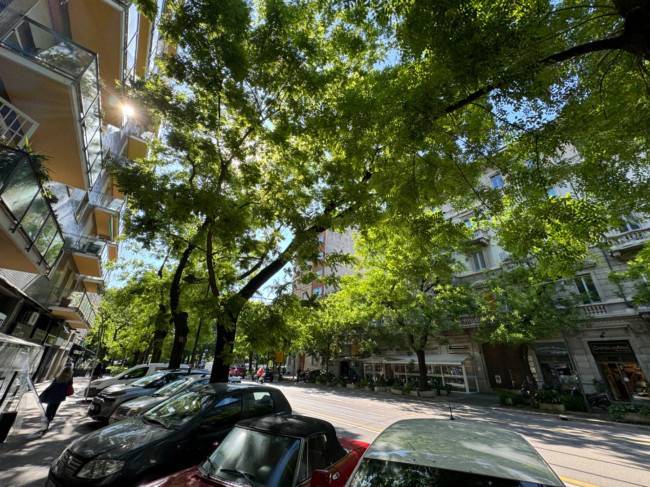 negozio in affitto a Milano in zona Solari