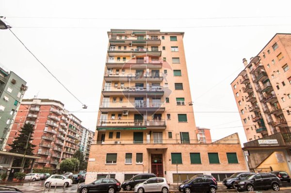 appartamento in affitto a Milano in zona Città Studi