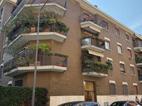 appartamento in affitto a Milano in zona Città Studi