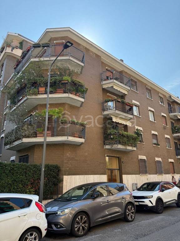 appartamento in affitto a Milano in zona Città Studi