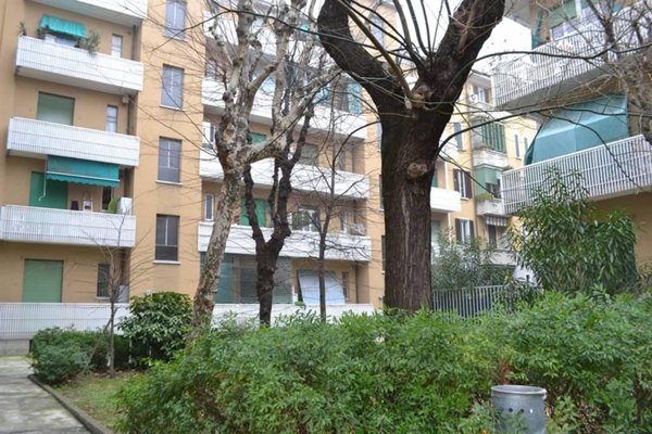 appartamento in affitto a Milano in zona Città Studi