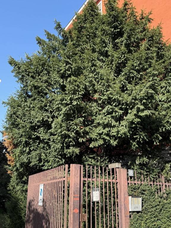 appartamento in affitto a Milano in zona Porta Romana