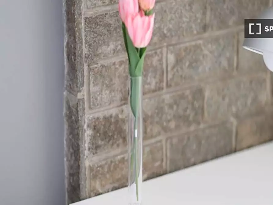 appartamento in affitto a Milano in zona XXII Marzo