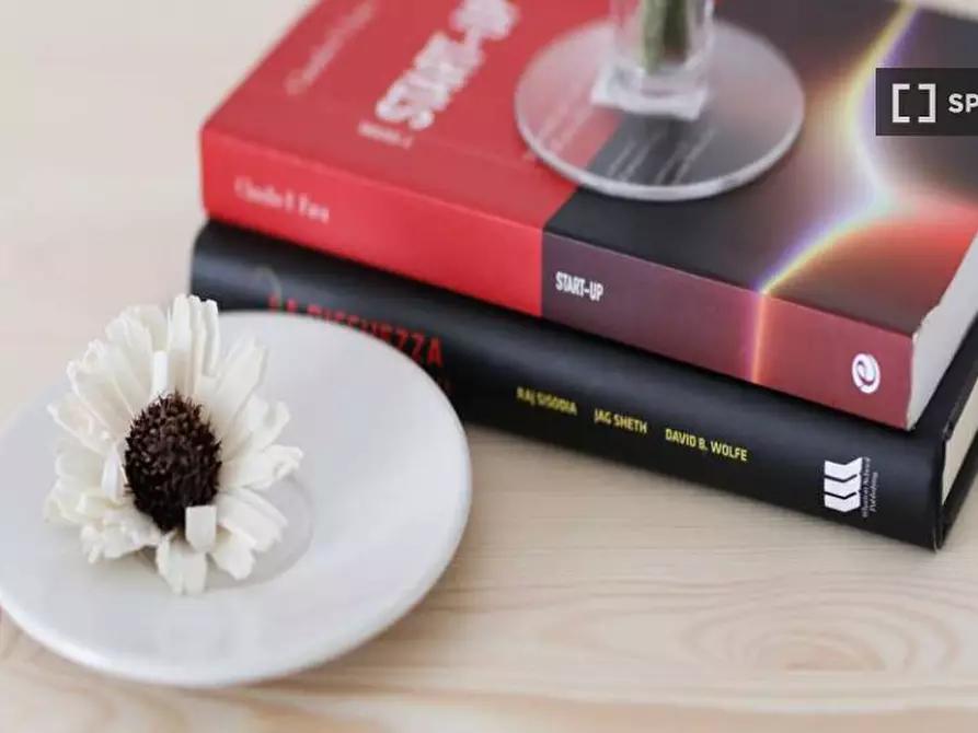 appartamento in affitto a Milano in zona Città Studi