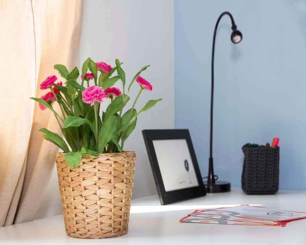 negozio in affitto a Milano in zona San Vittore