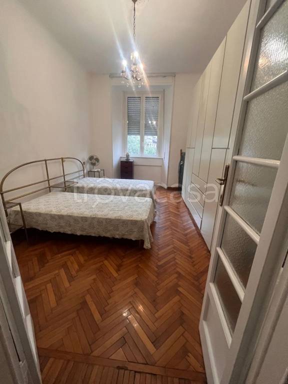 appartamento in affitto a Milano in zona Città Studi