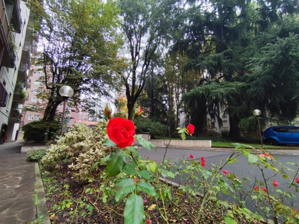 appartamento in affitto a Milano in zona Chiesa Rossa