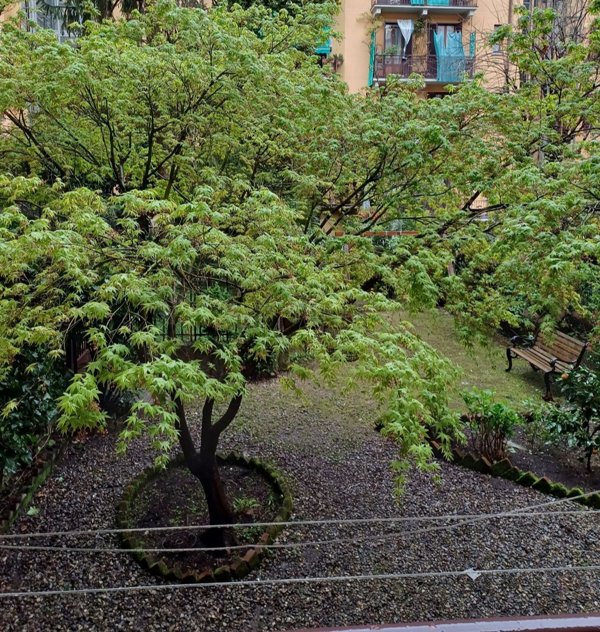 appartamento in affitto a Milano in zona Cinque Giornate