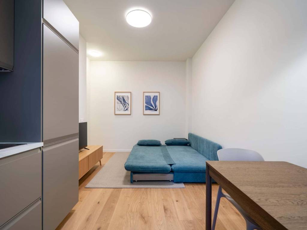 appartamento in affitto a Milano in zona Città Studi