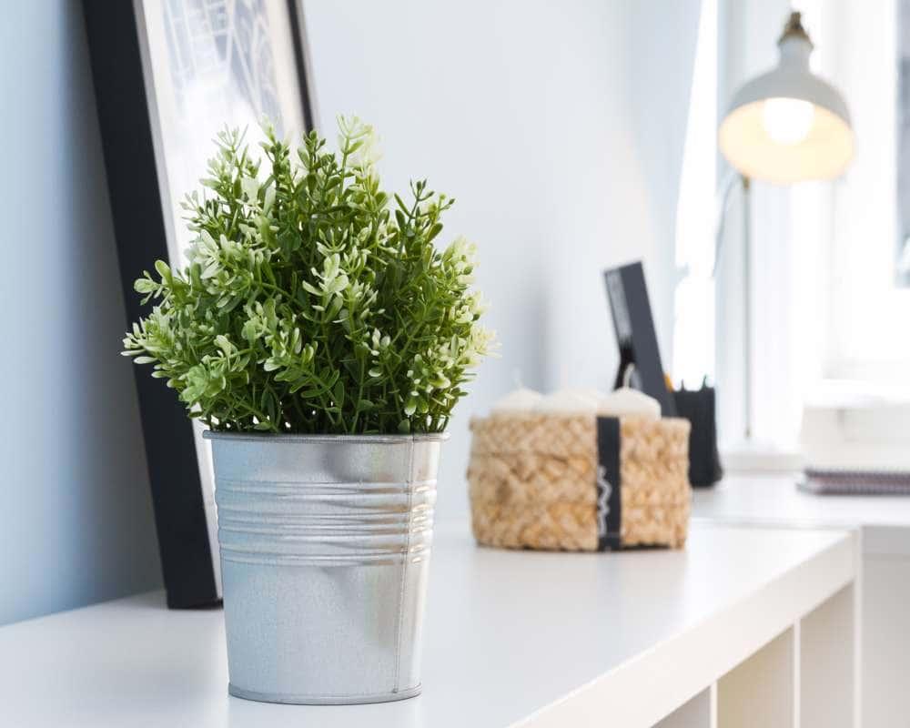 negozio in affitto a Milano in zona Brera