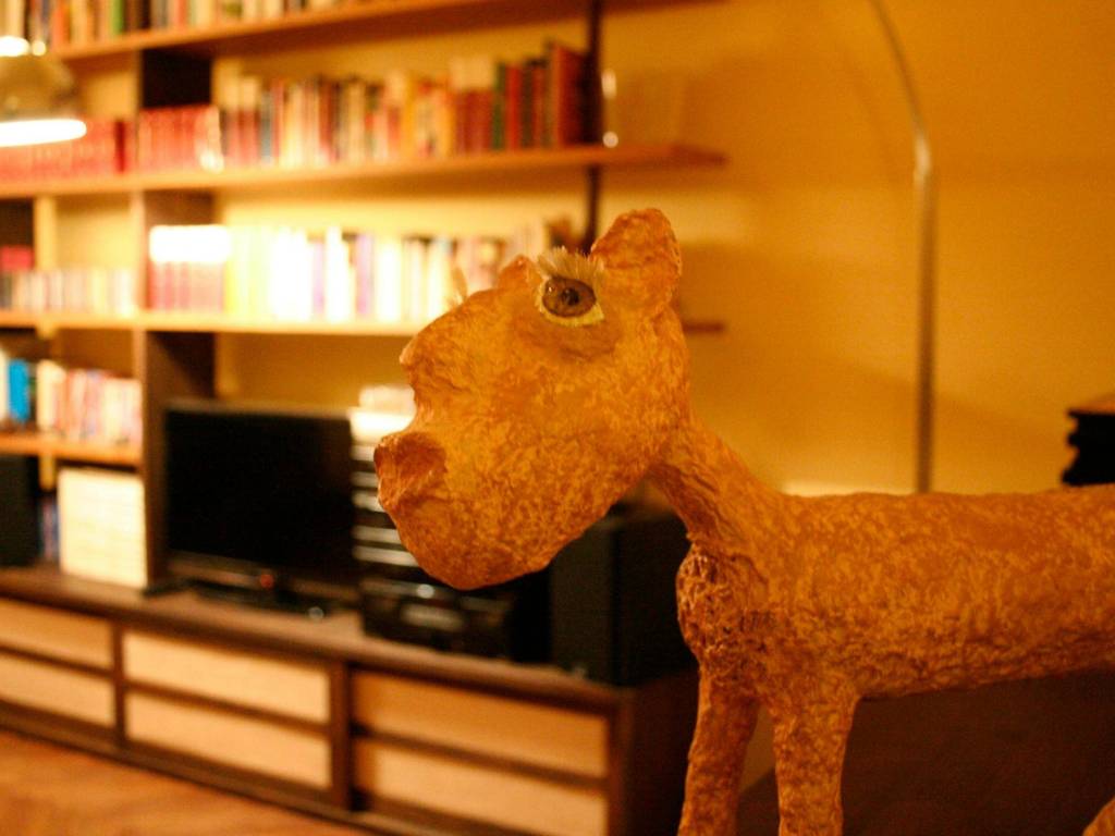 appartamento in affitto a Milano in zona Città Studi