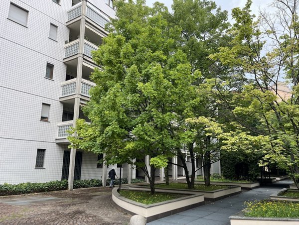 appartamento in affitto a Milano in zona Città Studi