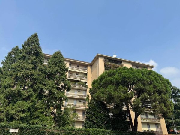 appartamento in affitto a Milano in zona Maggiolina