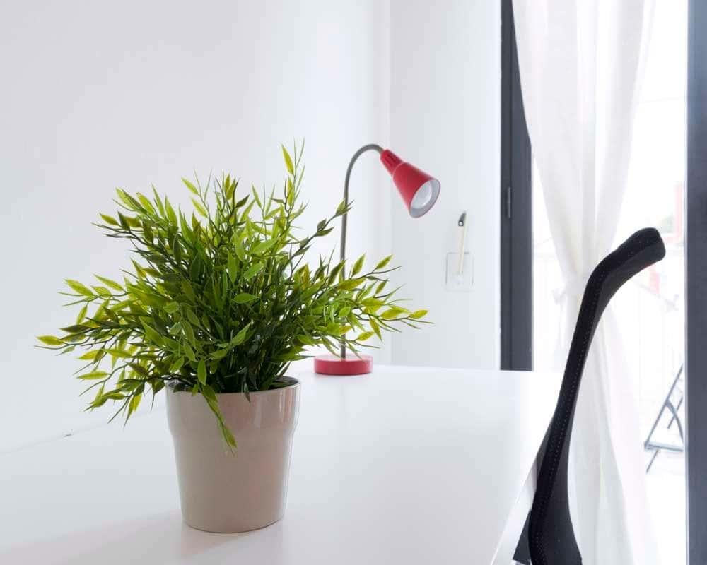 negozio in affitto a Milano in zona Maciachini