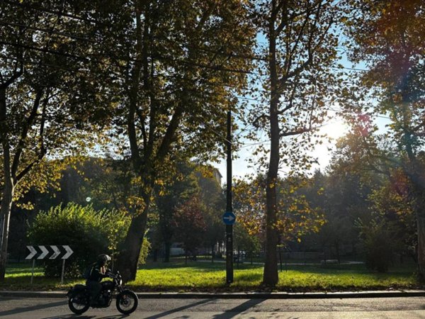 appartamento in affitto a Milano in zona Città Studi