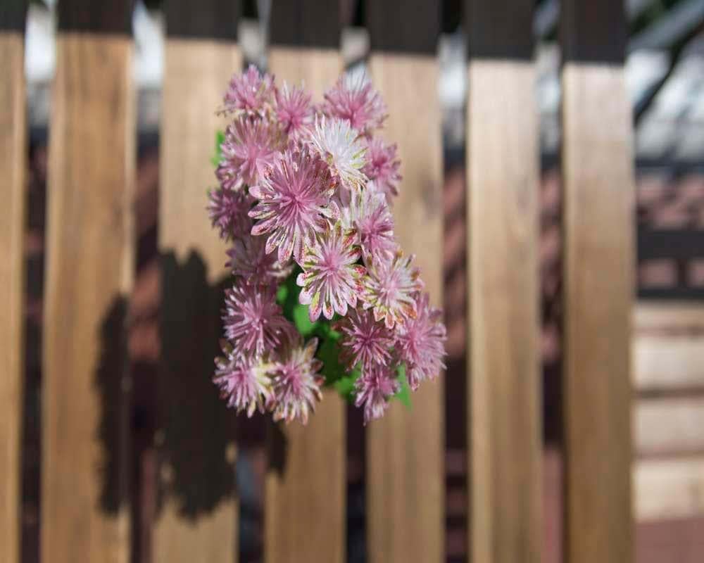 negozio in affitto a Milano in zona Morivione