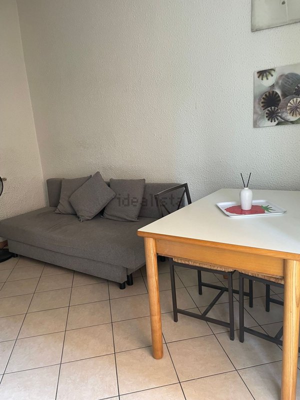 appartamento in affitto a Milano in zona Città Studi