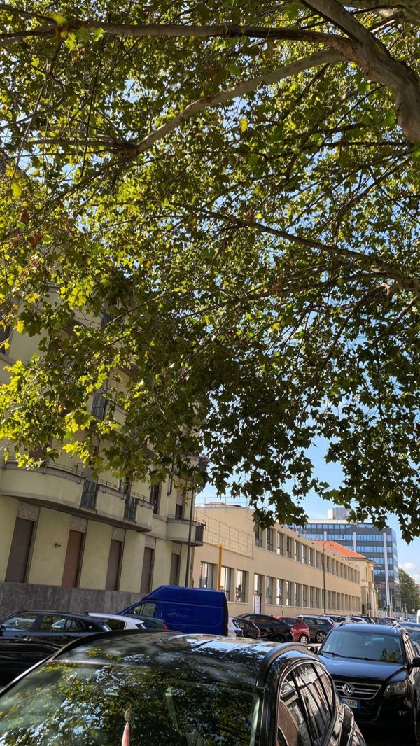 appartamento in affitto a Milano in zona San Vittore