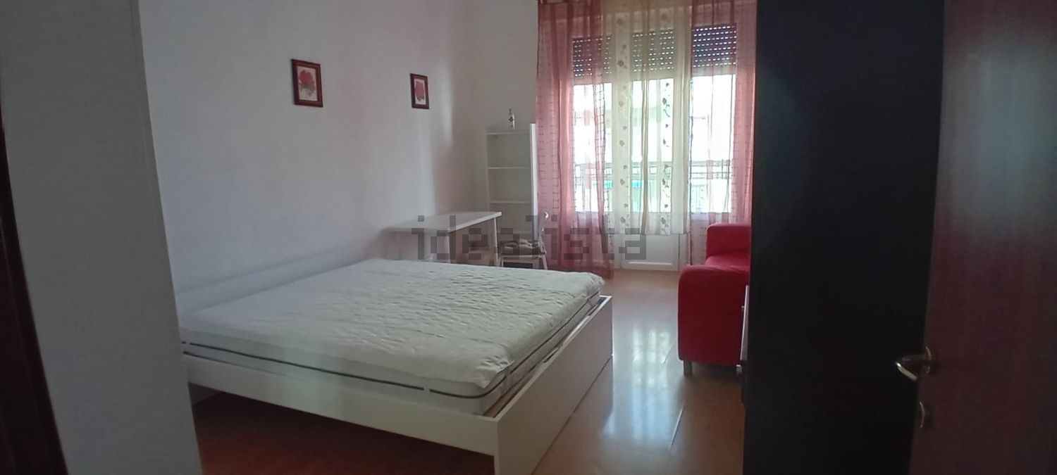 appartamento in affitto a Milano in zona Città Studi