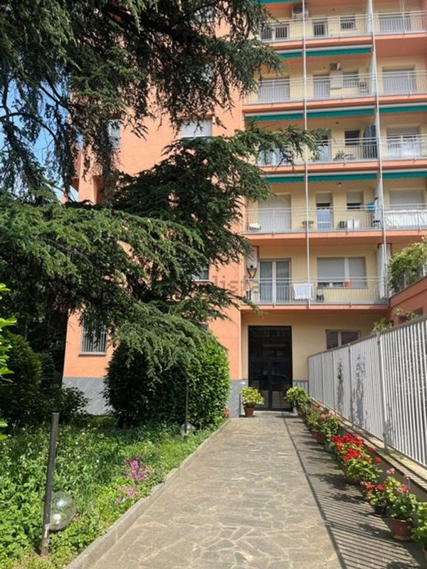 appartamento in affitto a Milano in zona Città Studi