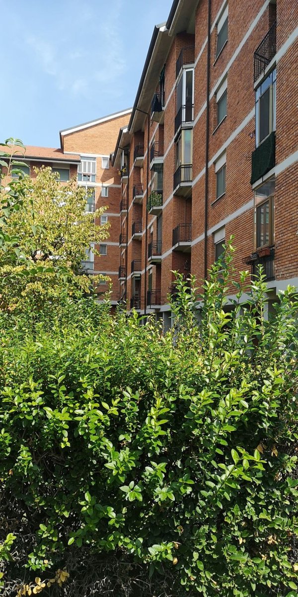appartamento in affitto a Milano in zona Chiesa Rossa