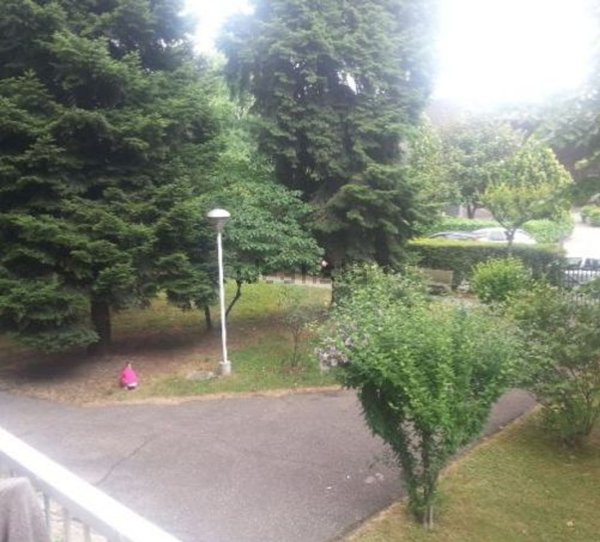 appartamento in affitto a Milano in zona Bovisasca