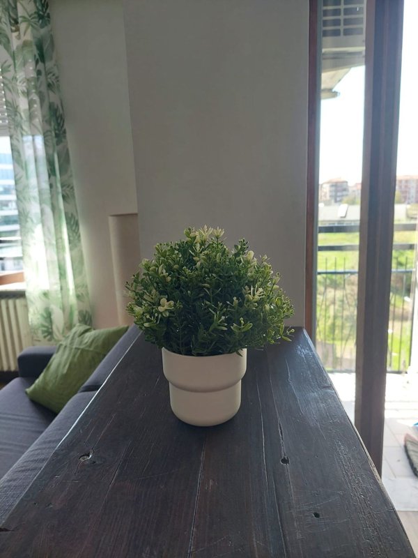 appartamento in affitto a Milano in zona Corvetto