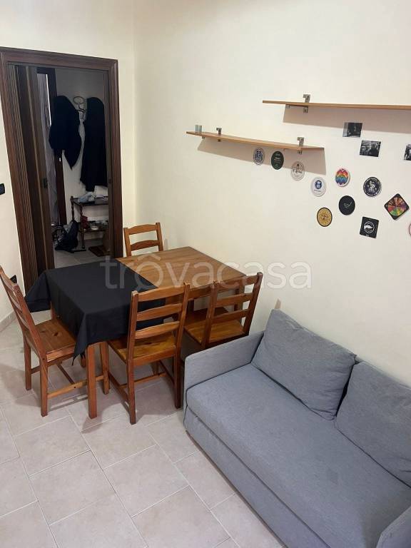 appartamento in affitto a Milano in zona Città Studi