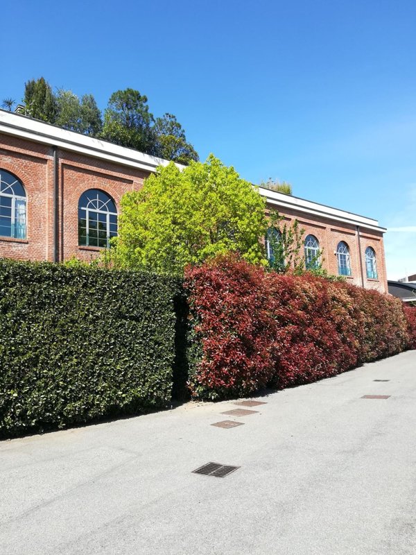 ufficio in affitto a Milano in zona San Cristoforo