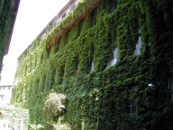 ufficio in affitto a Milano in zona Loreto