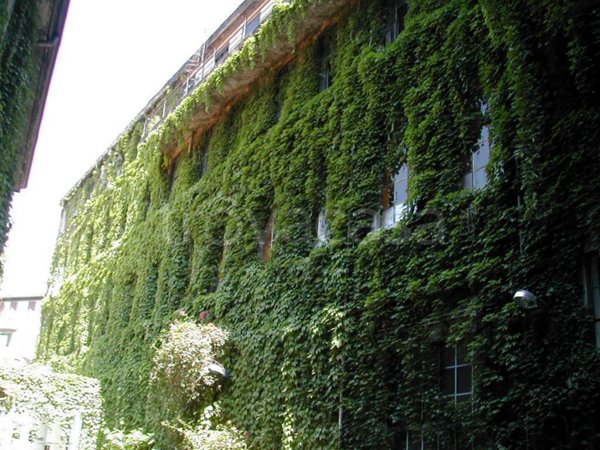 ufficio in affitto a Milano in zona Loreto