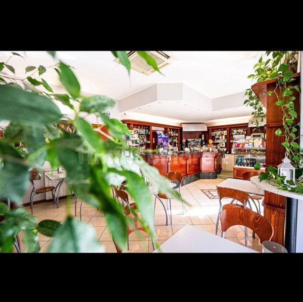 negozio in affitto a Milano in zona Calvairate