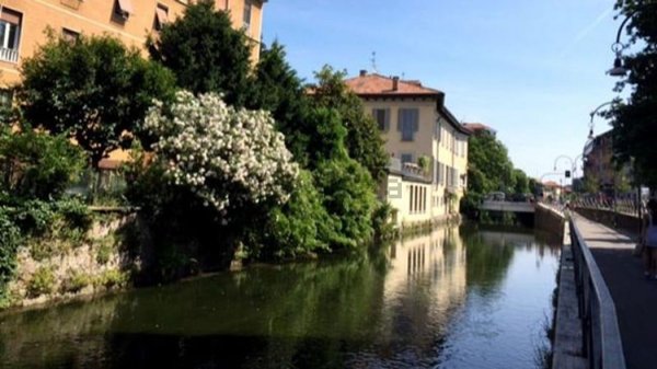 appartamento in affitto a Milano in zona Crescenzago