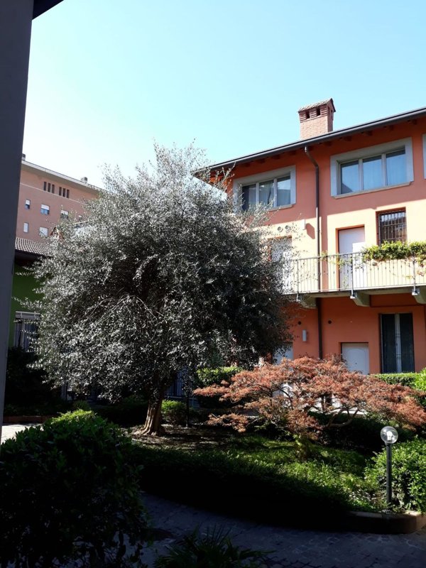 appartamento in affitto a Milano in zona Dergano
