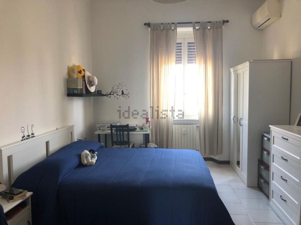 appartamento in affitto a Milano in zona Città Studi
