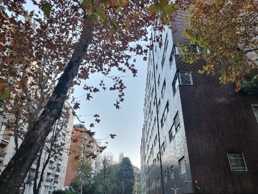 appartamento in affitto a Milano in zona Sempione