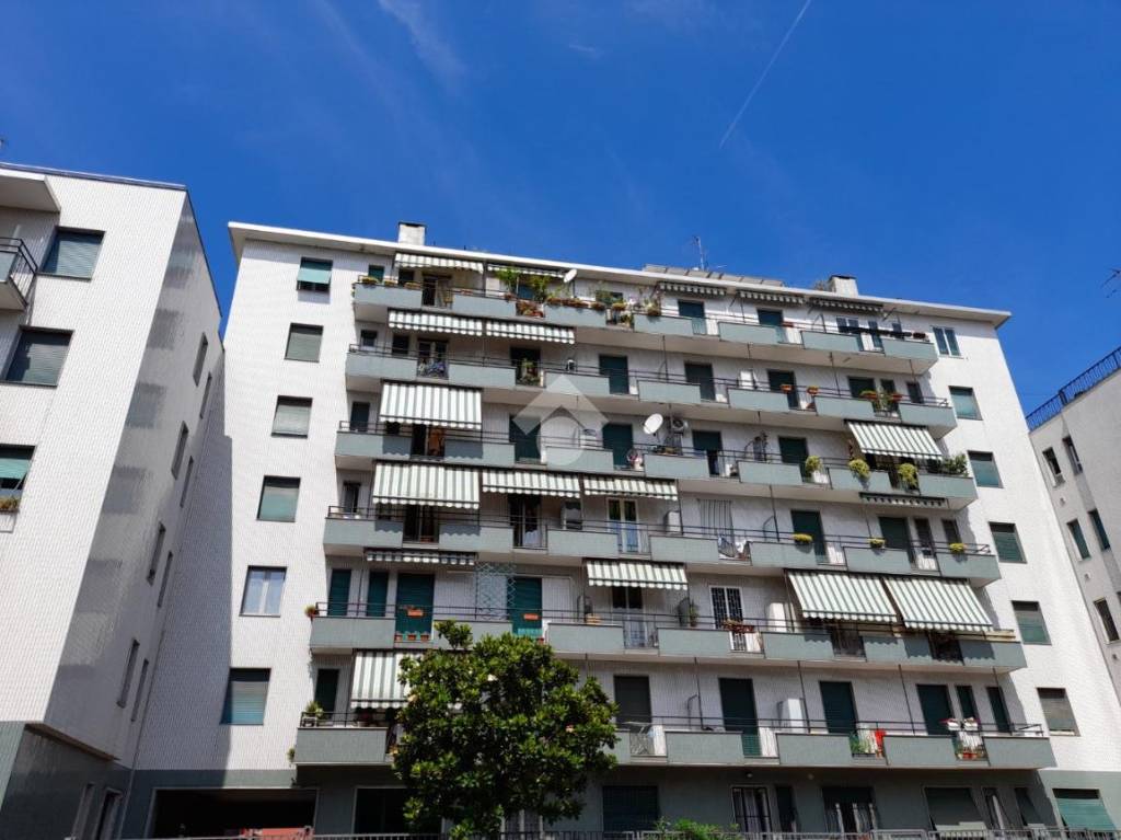 appartamento in affitto a Milano in zona Maggiolina