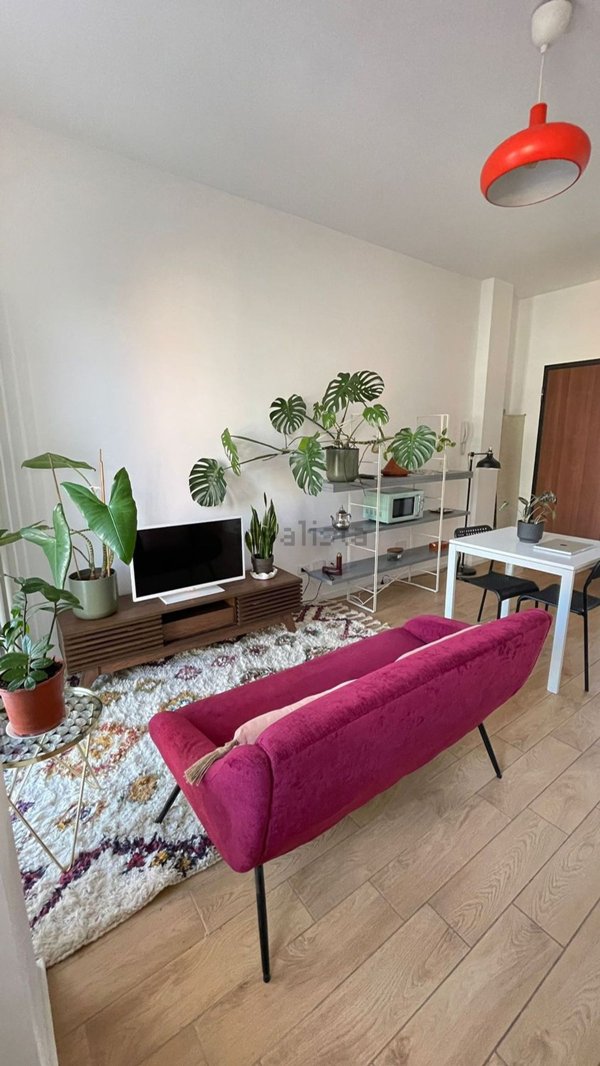 appartamento in affitto a Milano in zona Città Studi