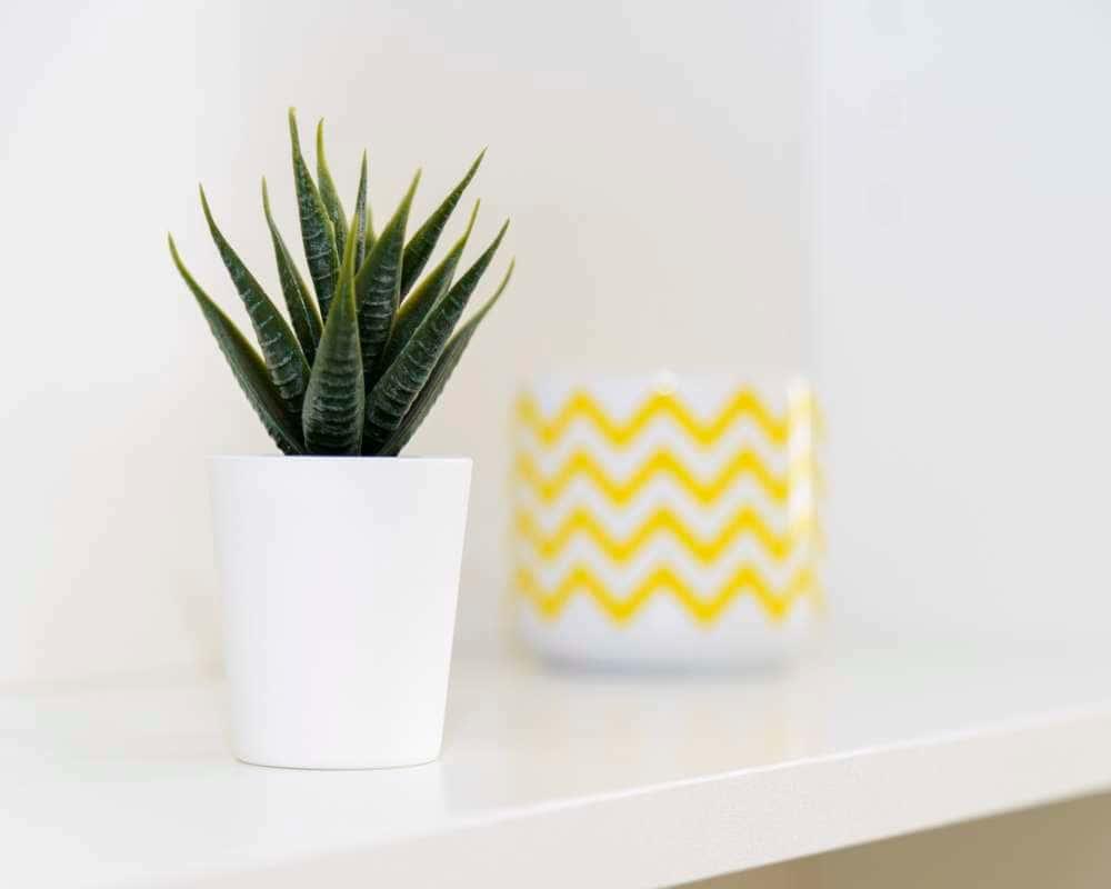 negozio in affitto a Milano in zona Città Studi