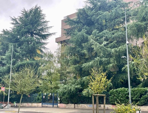 appartamento in affitto a Milano in zona Turro